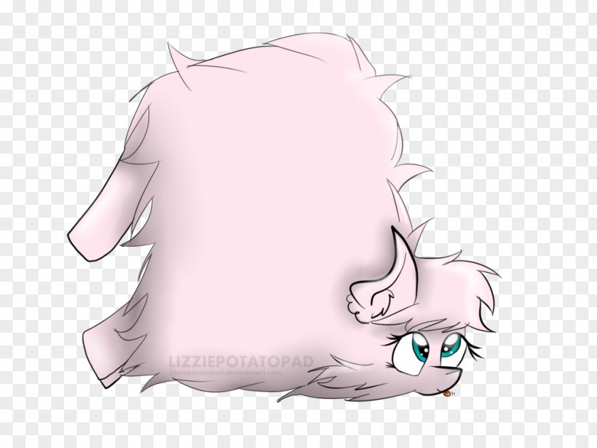 Cat Whiskers Mammal Dog Pig PNG