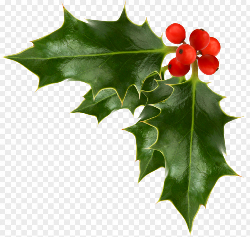 Corner Garland Cliparts Common Holly Christmas Free Content Clip Art PNG