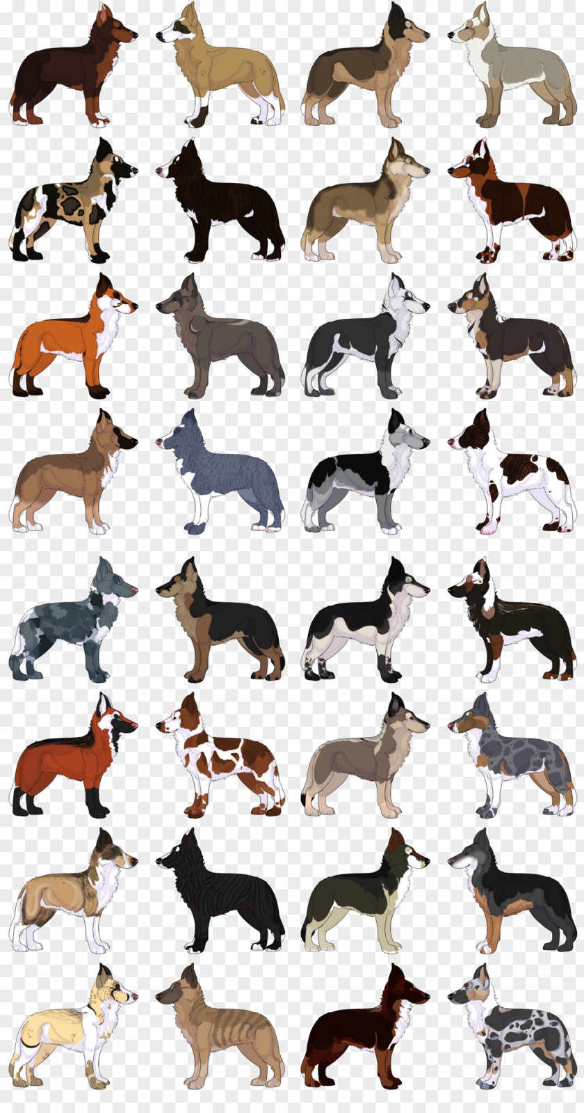 Dog Canidae Mammal Product Font PNG