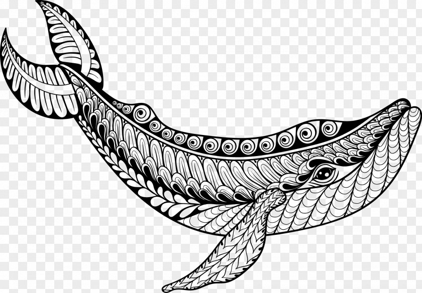 Hand-painted Pattern Whale Drawing Coloring Book Illustration PNG