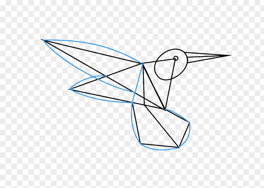 Irregular Lines Hummingbird Drawing Line Art How-to Clip PNG