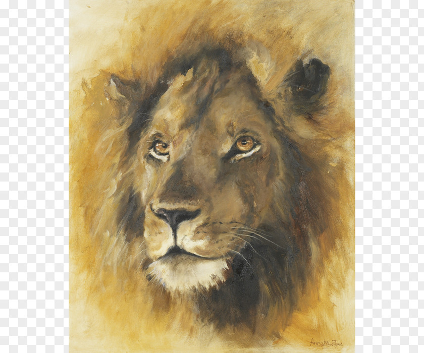 Paint East African Lion Whiskers Watercolor Painting Wildlife Fauna PNG