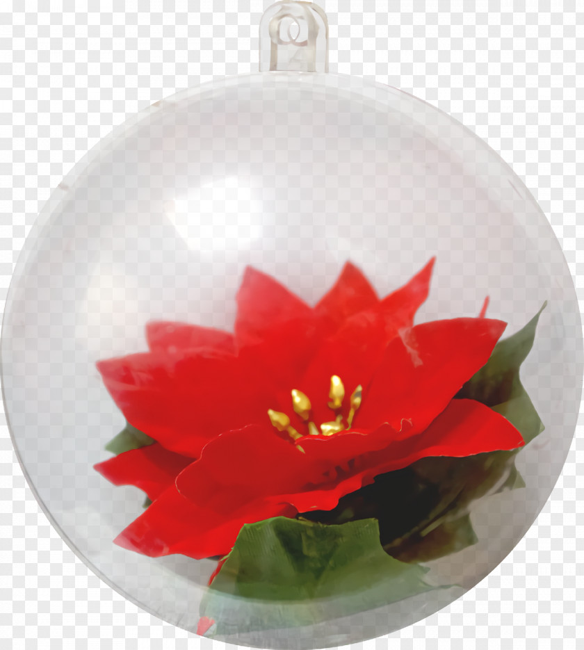 Poinsettia Ornament Christmas Bulbs Balls Bubbles PNG