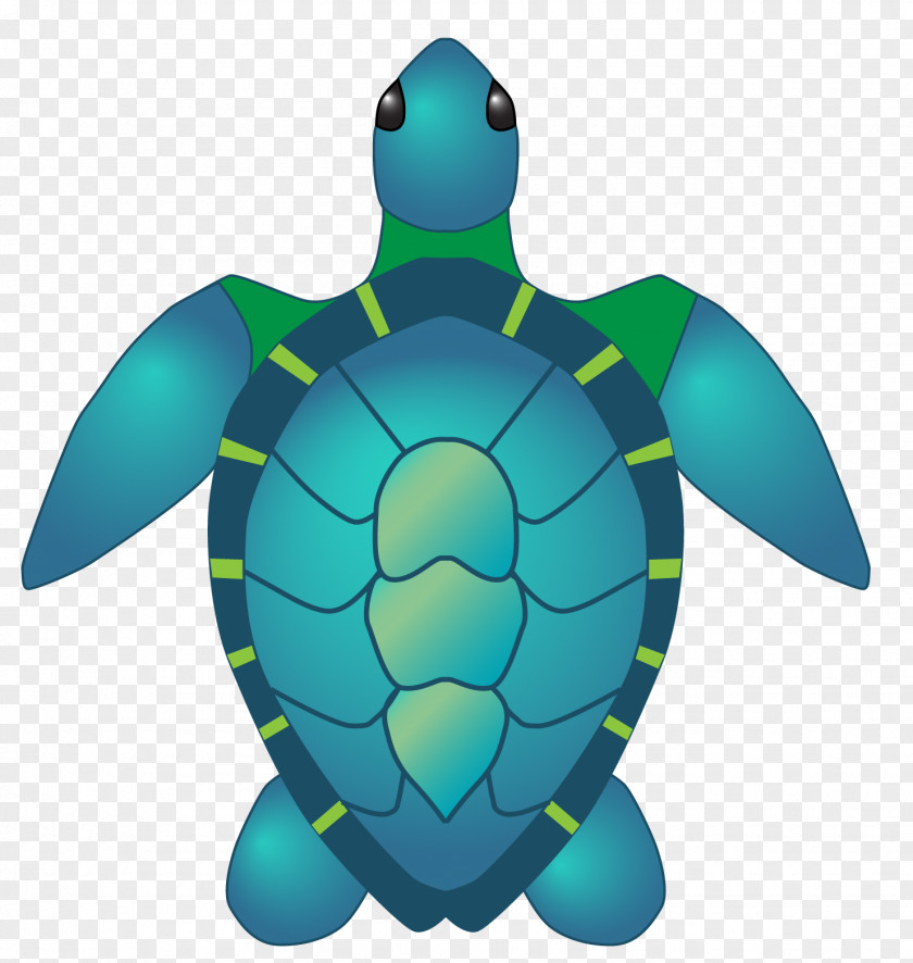 Turtle Sea Tortoise Clip Art PNG