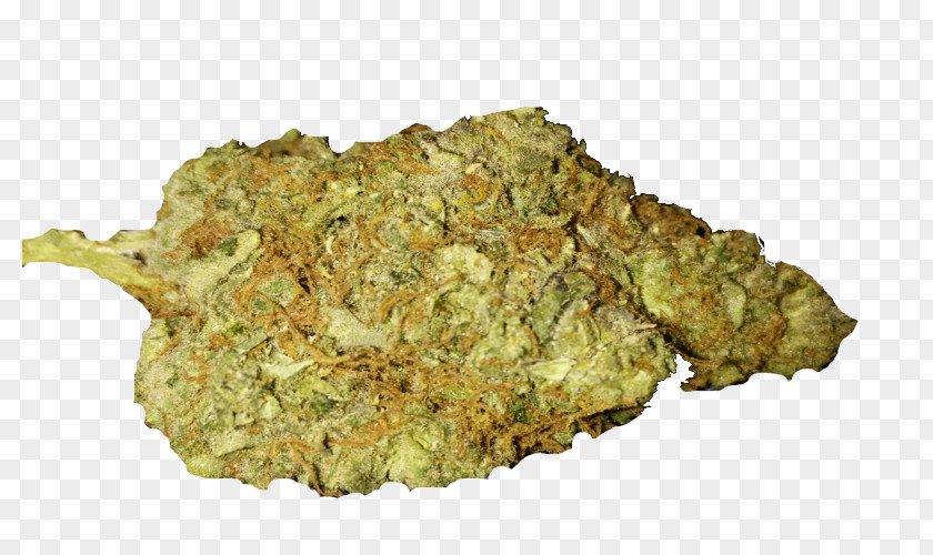 Budweiser Cannabis Blue Dream Bud Tetrahydrocannabinol PNG