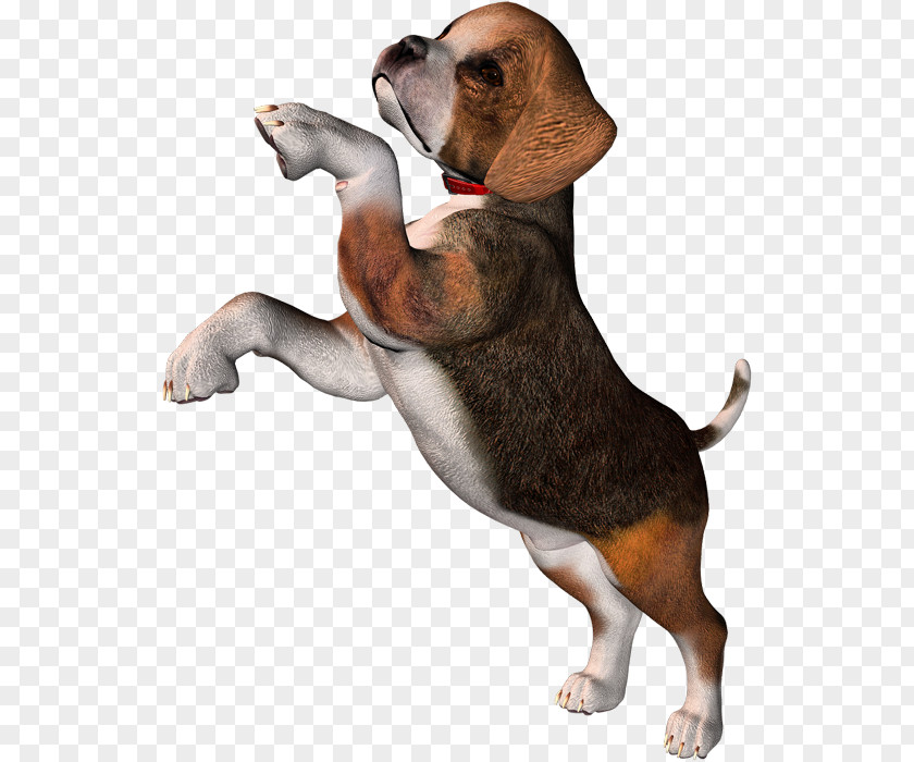 Dog Pocket Beagle Puppy Clip Art PNG