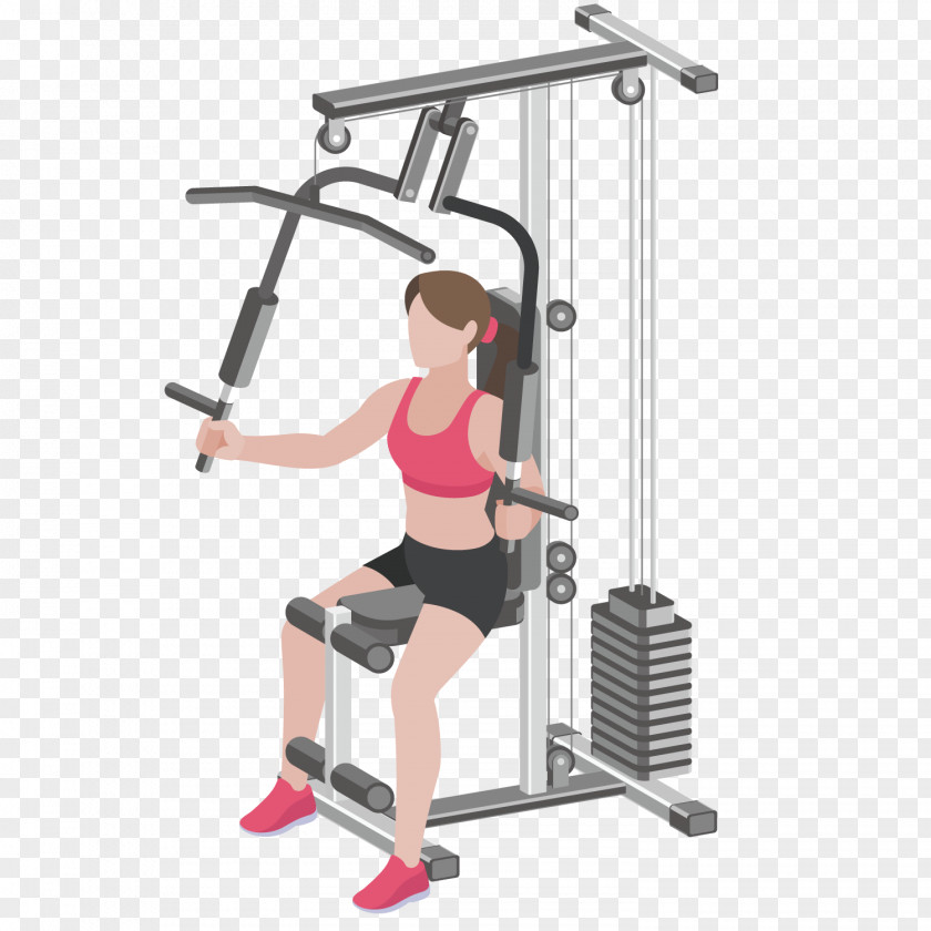Fitness Beauty Physical Exercise Euclidean Vector Weight Loss Muscle PNG