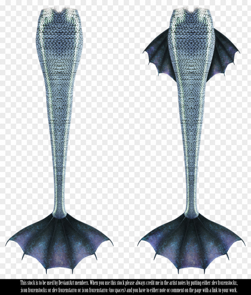 Mermaid Tail Merman DeviantArt PNG