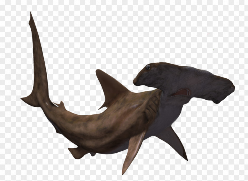 Shark Hammerhead Great Animal PNG