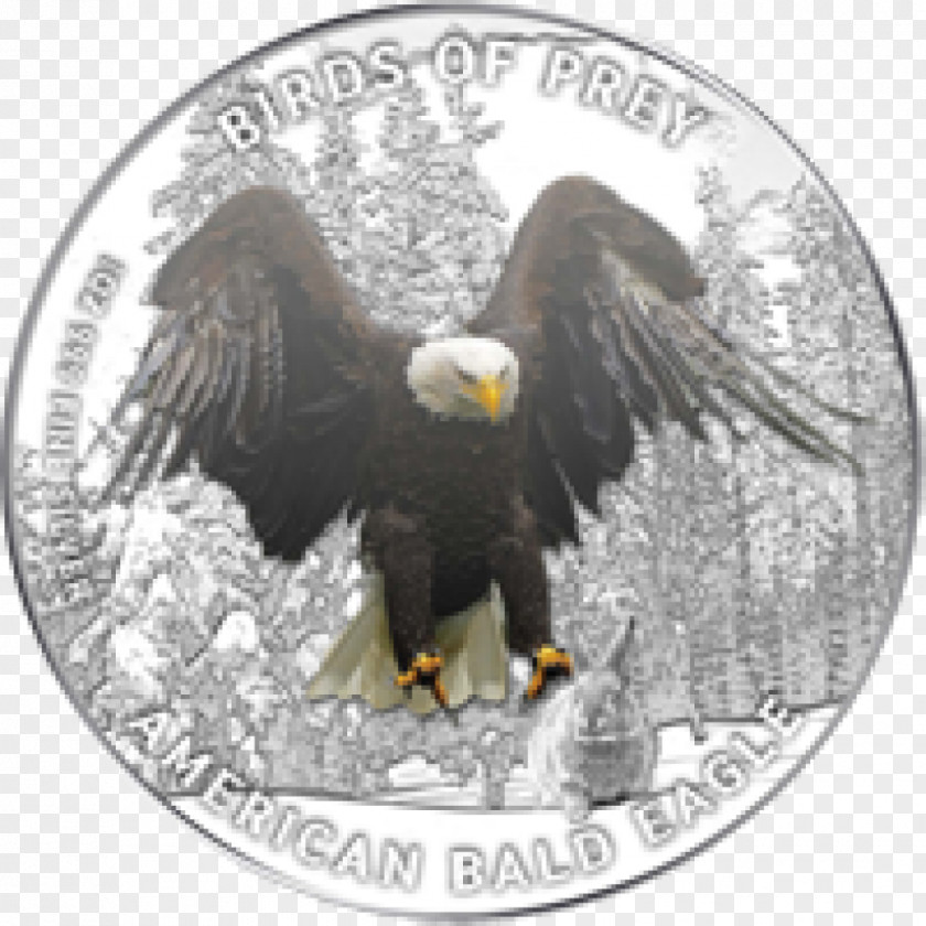 Silver Bald Eagle Coin Proof Coinage PNG