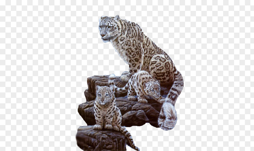 Snow Leopard Mom And Kids Cat Tiger Cougar PNG