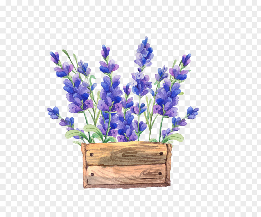 Watercolor Flowers Paper Painting Flower Lavender PNG