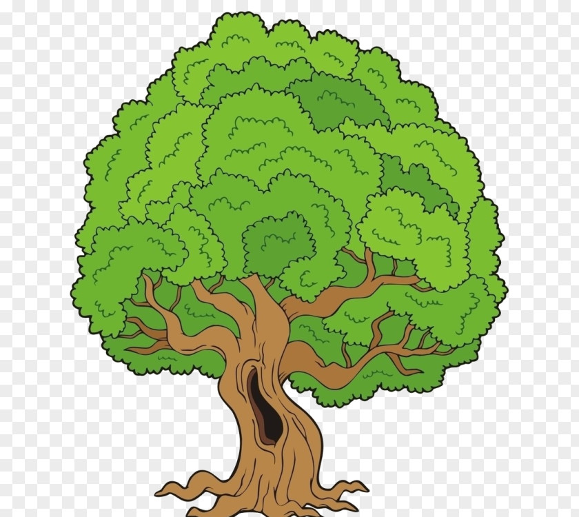 A4size Bird Nest Drawing Tree PNG