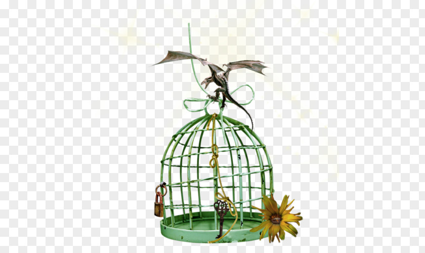 Design Cage Bird Cartoon PNG
