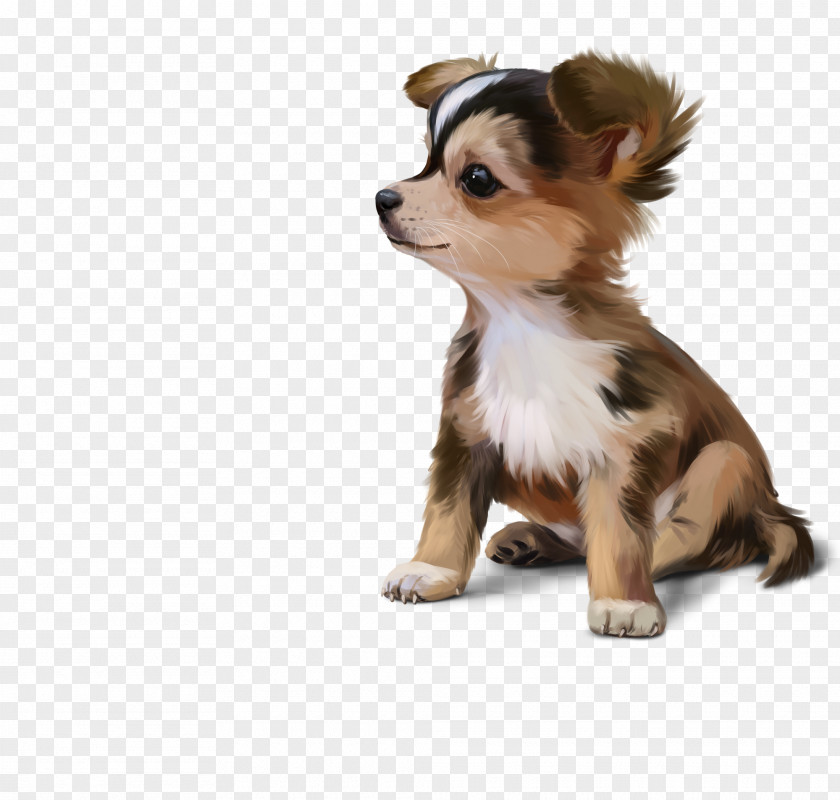 Fawn Chihuahua Dog Puppy Companion PNG