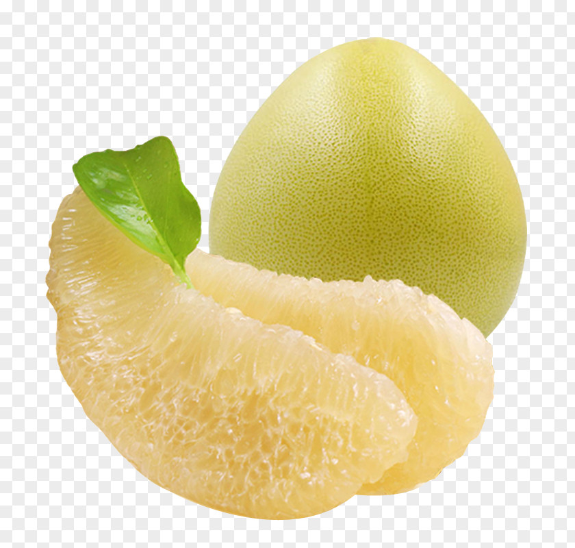 Grapefruit White Meat Citron Pomelo Lemon Persian Lime PNG
