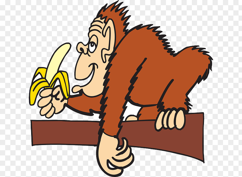 Green Health Banana Monkey Food Clip Art PNG