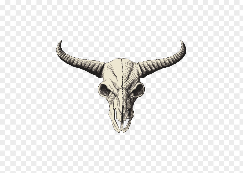 Skull American Bison Drawing Clip Art PNG