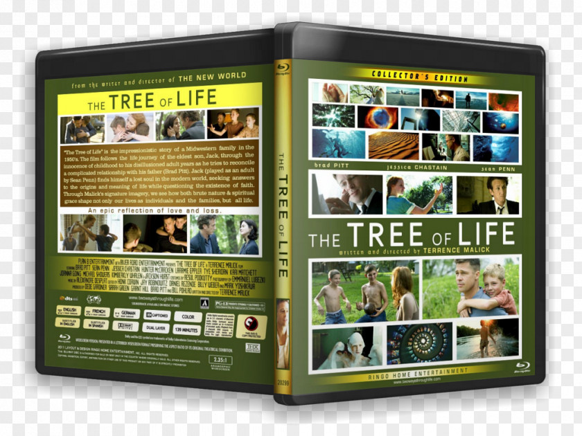 Tree Blu-ray Disc Of Life YouTube Film PNG