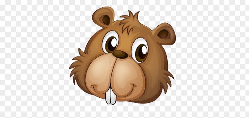 Beaver PNG clipart PNG