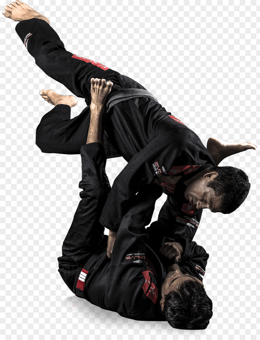 Mixed Martial Artist Brazilian Jiu-jitsu Gi Jujutsu Arts Evolve MMA PNG