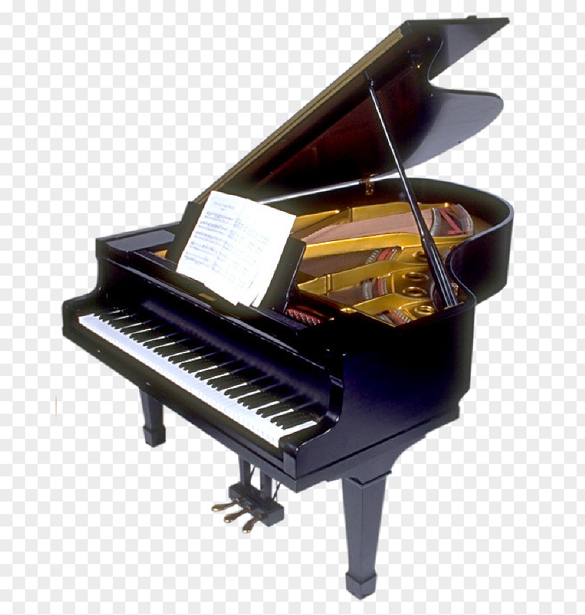 Piano Grand Tuning Musical Instruments Digital PNG