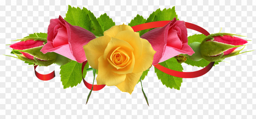Rose Flower Clip Art Yellow PNG