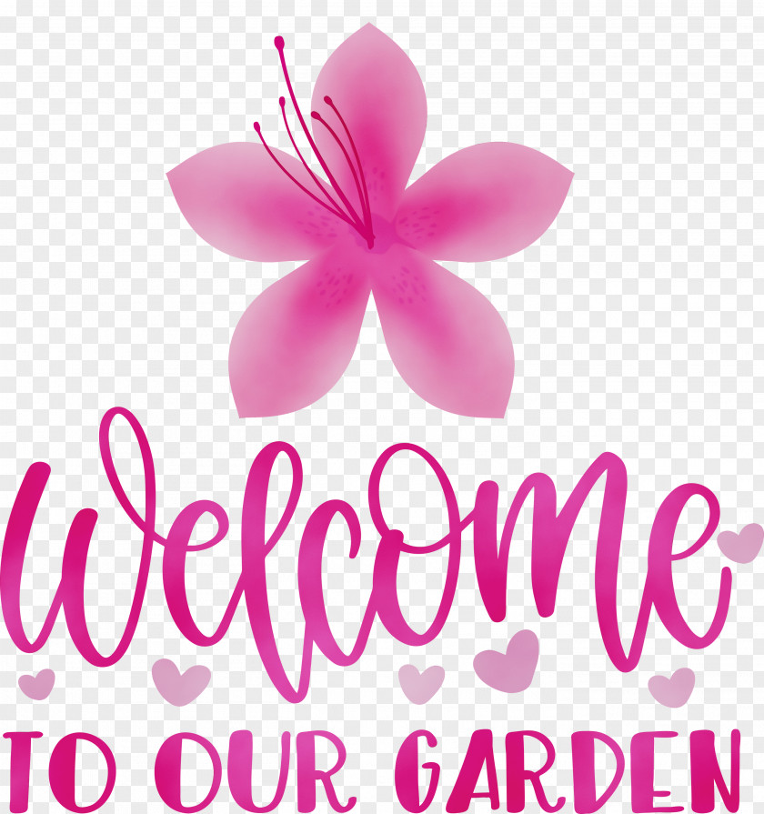 Cut Flowers Petal Herbaceous Plant Flower Meter PNG