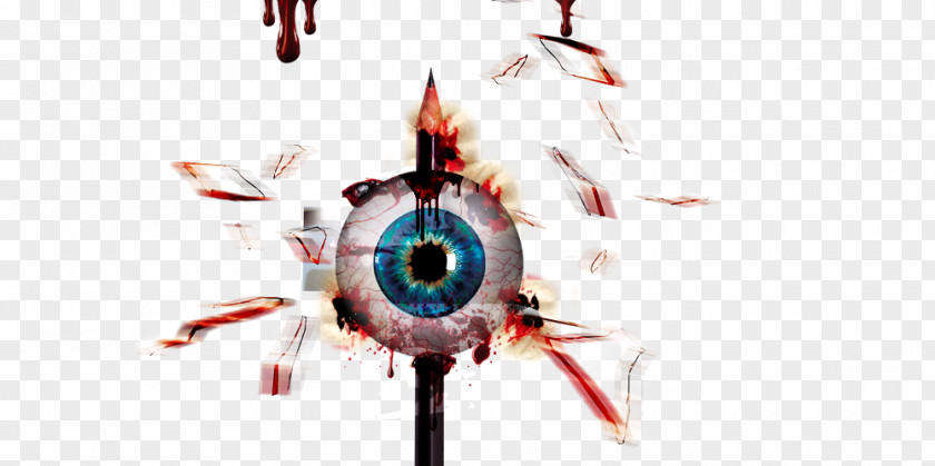 Eyeball Human Eye Download Computer File PNG