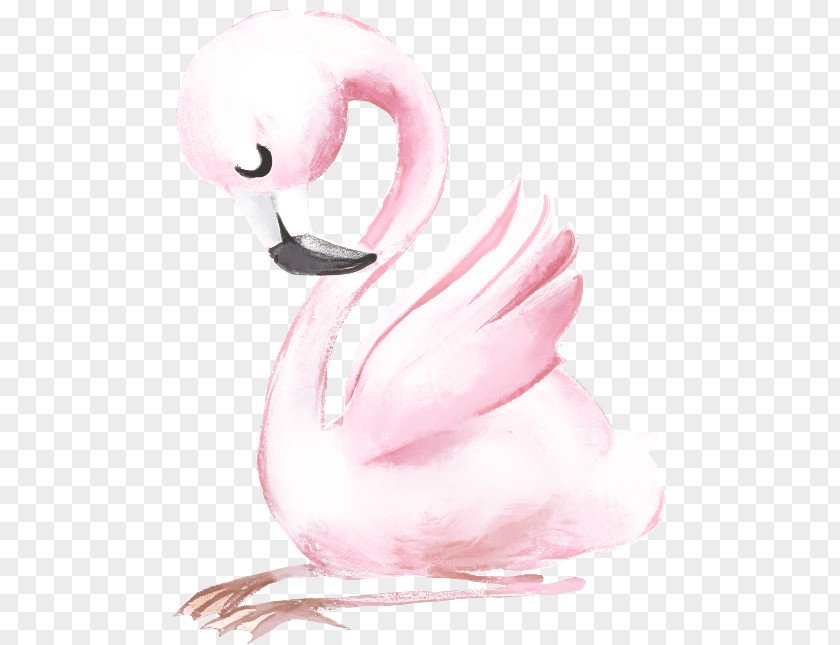 Flamingo PNG