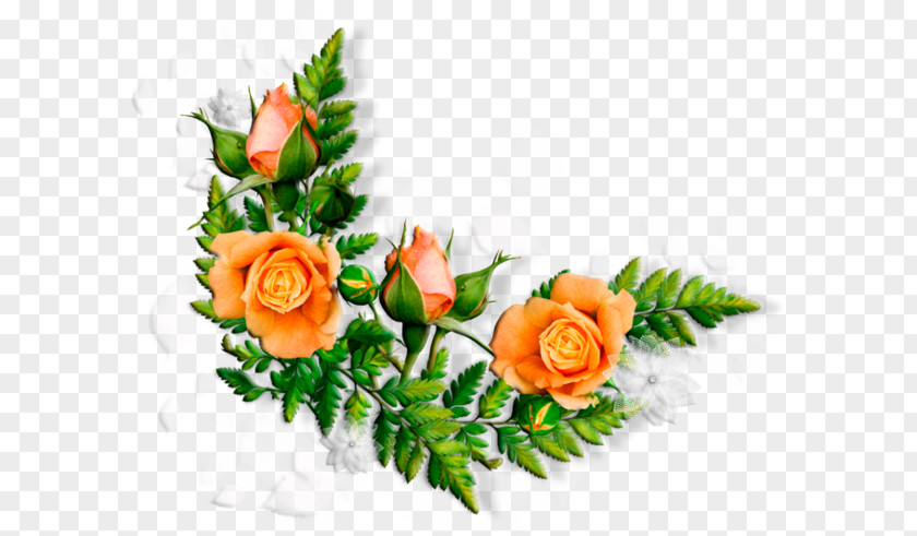 Flower Borders And Frames Floral Design Clip Art Image PNG