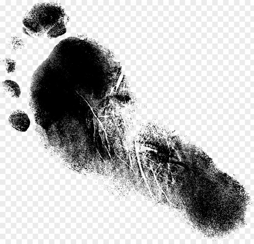 Foot Print Drawing Monochrome Photography Paper PNG