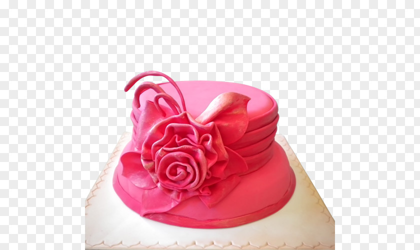 PINK CAKE Birthday Cake Torte Hat PNG