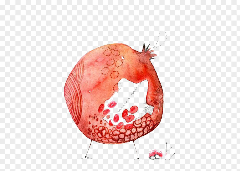 Pomegranate Watercolor Painting PNG