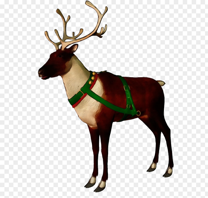 Sticker Horn Reindeer PNG