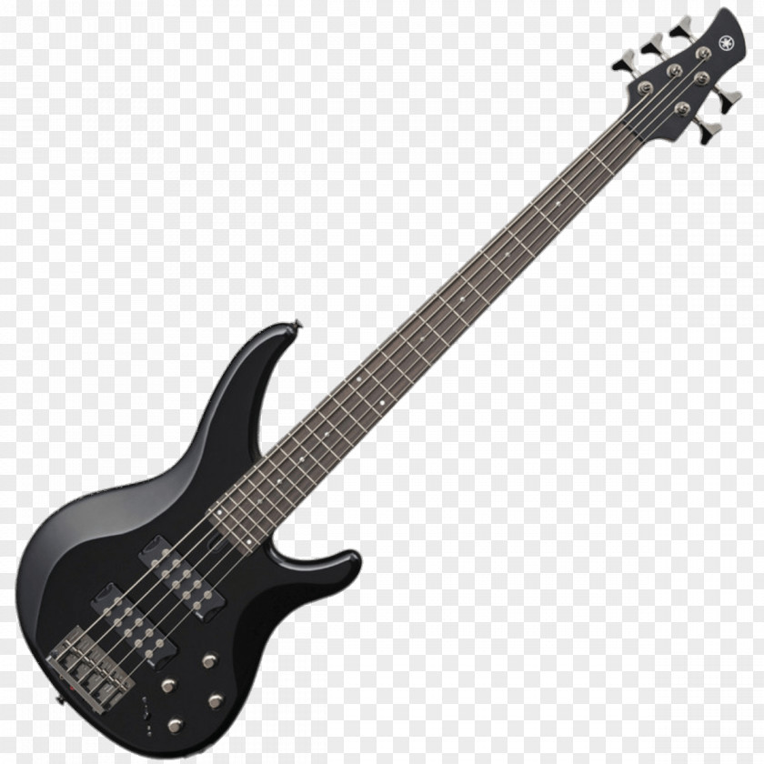Bass Guitar String Instruments Musical Double PNG