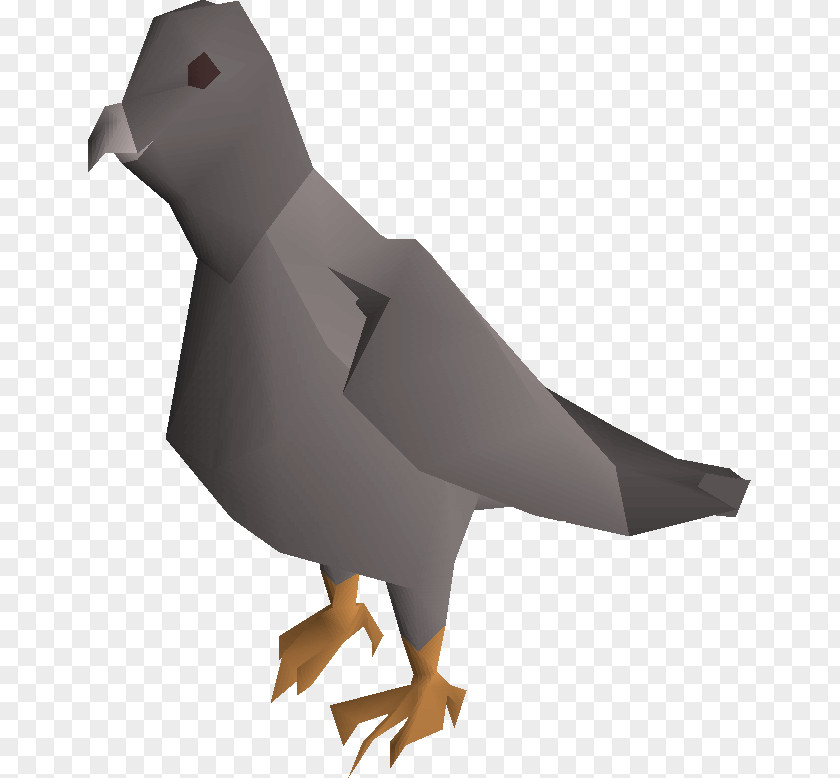 Chicken Pokemon Bird Pigeons And Doves Domestic Pigeon Image PNG
