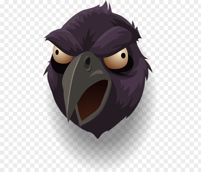 Crow Bird Crows Illustration PNG
