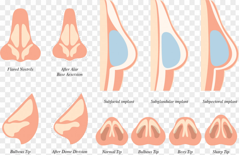 Different Angle Nose Face Euclidean Vector PNG