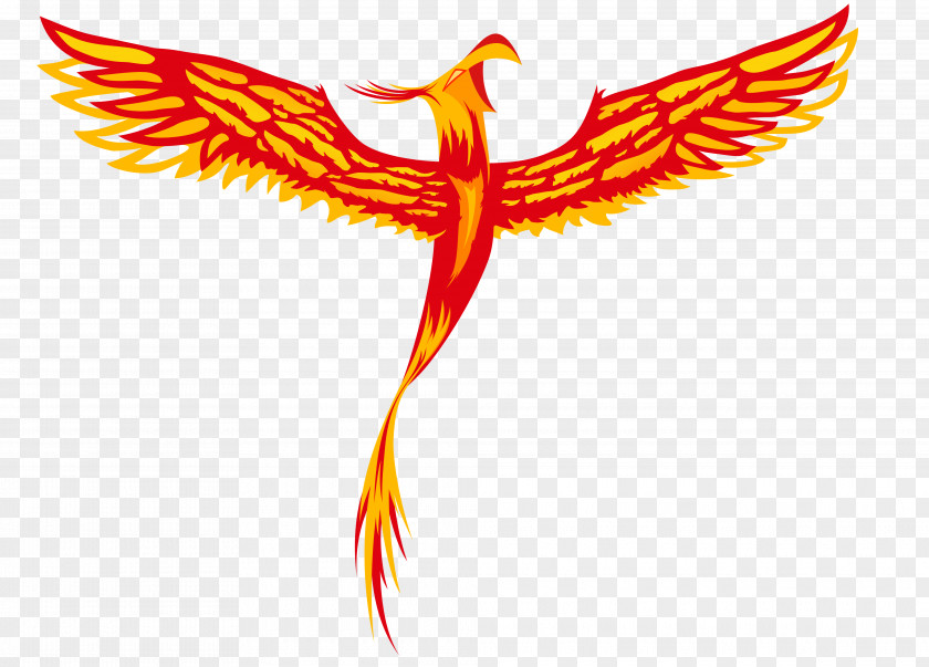 Phoenix My Little Pony WannaCry Ransomware Attack PNG