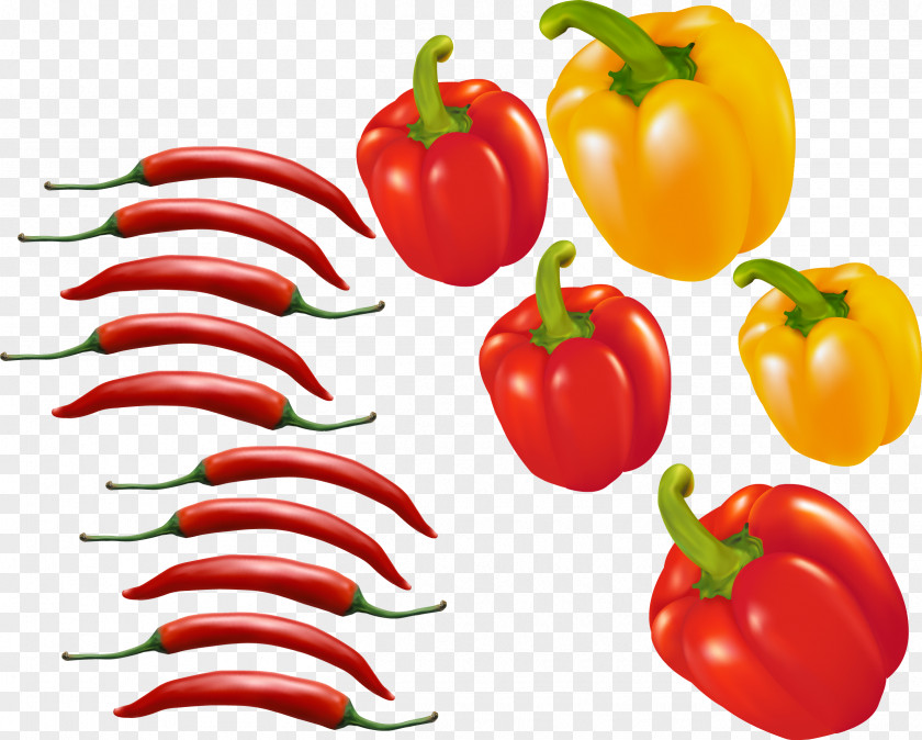 Red Chili Pepper Vector Material Bell Tomato Euclidean PNG