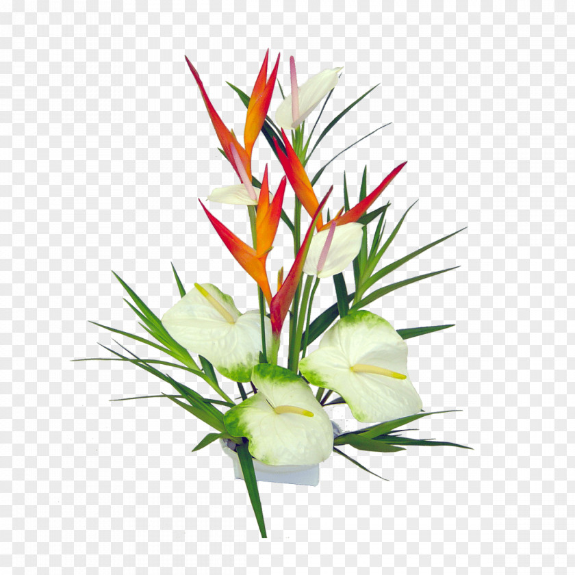 Tropical Flower Hawaii Bouquet Floristry Lei PNG