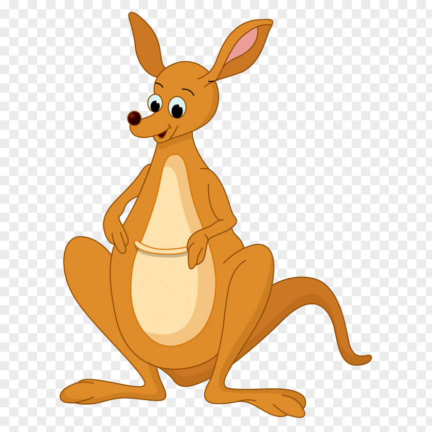 Vector Australian Kangaroo Drawing Cartoon Clip Art PNG