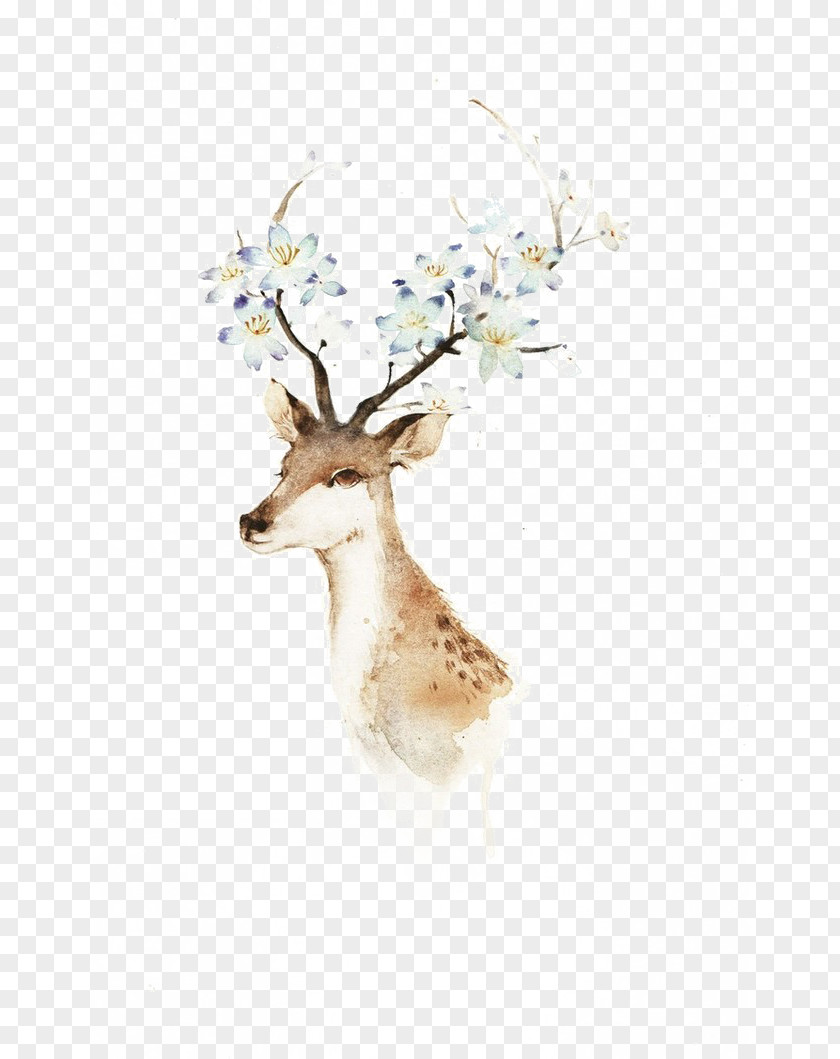 Animal Deer Watercolor Painting Illustration PNG