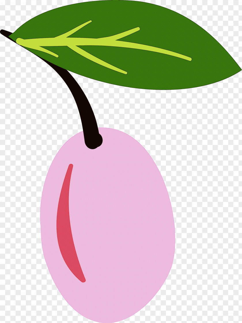 Cactus PNG