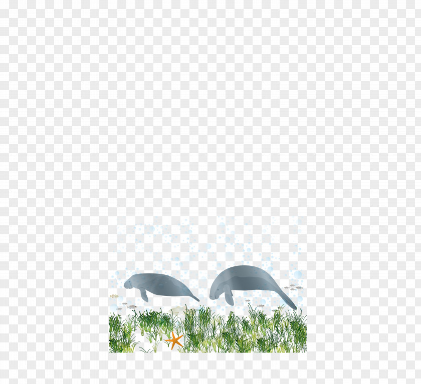 Cartoon Whale Computer Pattern PNG