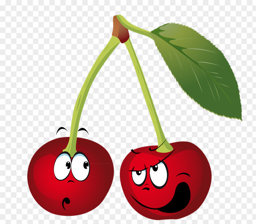 Cherry Fruit Cartoon Clip Art PNG