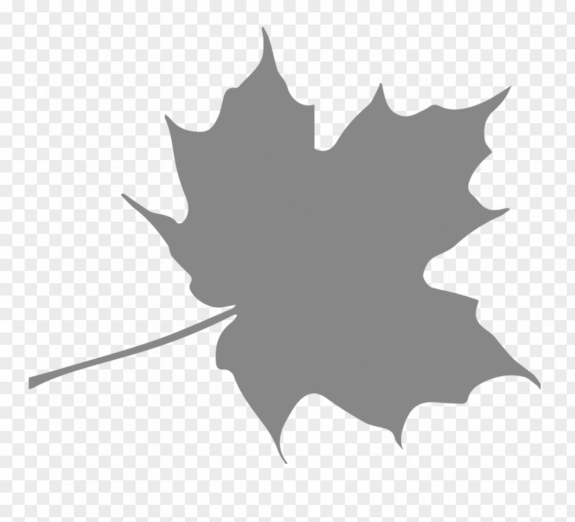 Leaf Pattern Shading Autumn Color Maple PNG