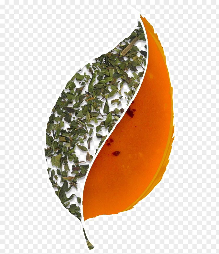 Pepermint Hibiscus Tea Peppermint Herbal PNG