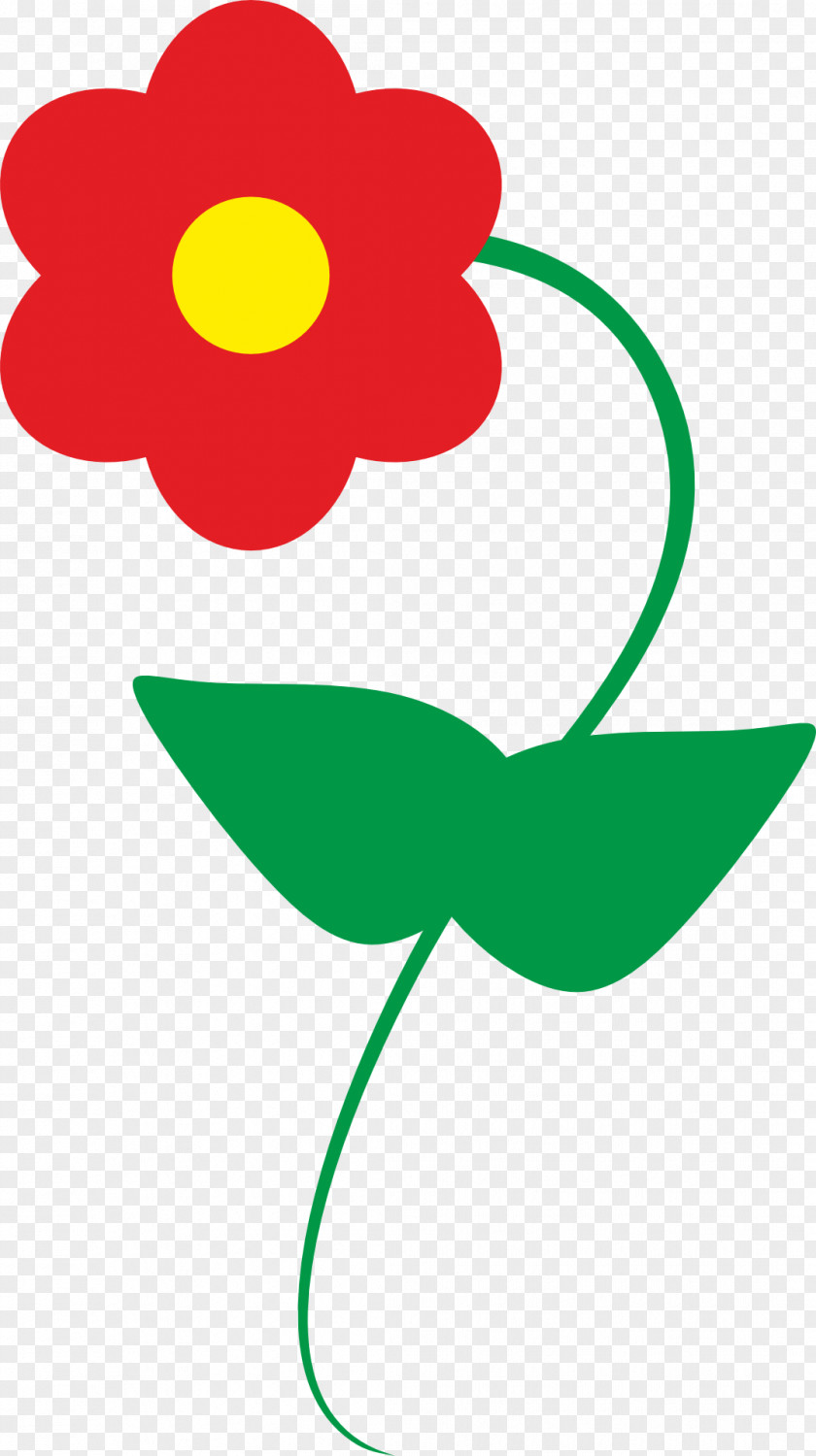 Plant Flower PNG